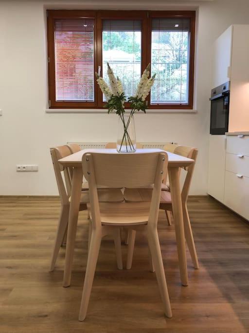 Two Apartments, Free Parking, Close To The Center Apartment Prag