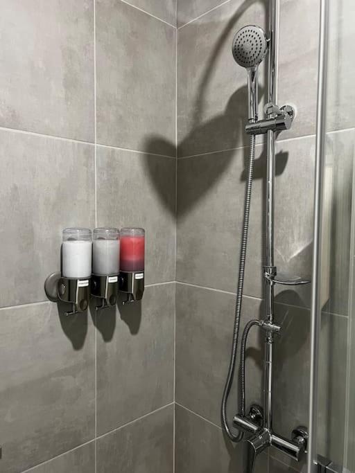 Two Apartments, Free Parking, Close To The Center * Prag